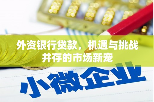滨海外资银行贷款，机遇与挑战并存的市场新宠