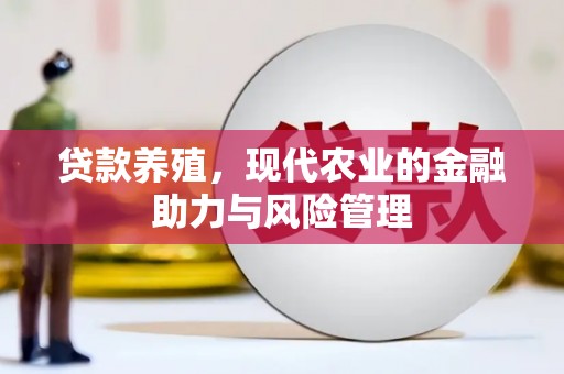 观音贷款养殖，现代农业的金融助力与风险管理