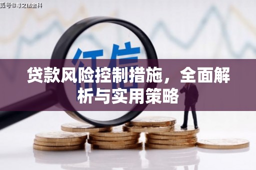 圣方济各堂区贷款风险控制措施，全面解析与实用策略