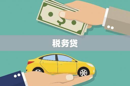 田家庵税务贷