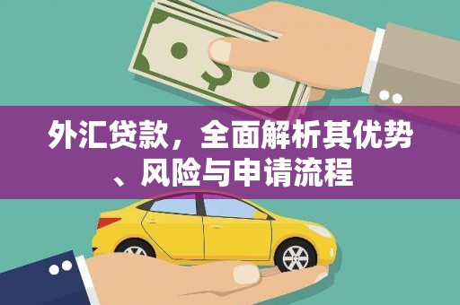 凤县外汇贷款，全面解析其优势、风险与申请流程
