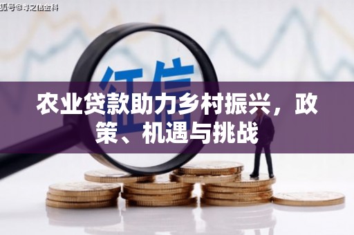临猗农业贷款助力乡村振兴，政策、机遇与挑战