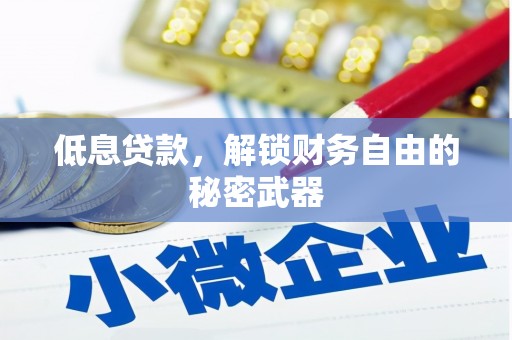 冷水江低息贷款，解锁财务自由的秘密武器