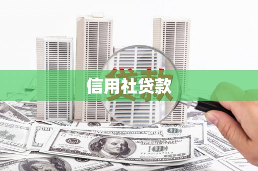 上林信用社贷款