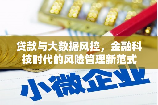赫山贷款与大数据风控，金融科技时代的风险管理新范式