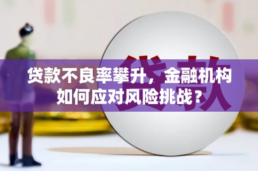 南陵贷款不良率攀升，金融机构如何应对风险挑战？