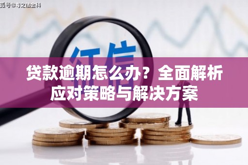 沙坪坝贷款逾期怎么办？全面解析应对策略与解决方案