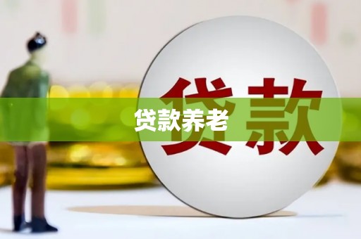 仙游贷款养老