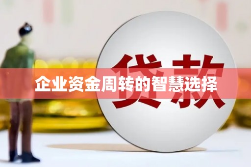 蔡甸企业资金周转的智慧选择