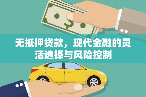 纳溪无抵押贷款，现代金融的灵活选择与风险控制