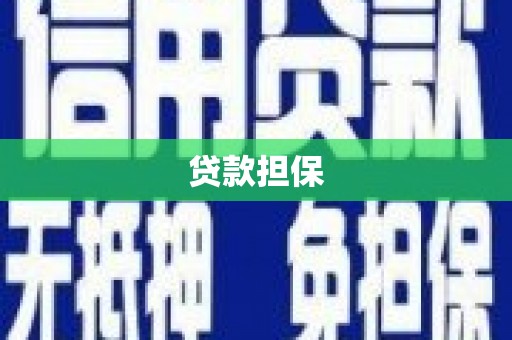 靖宇贷款担保