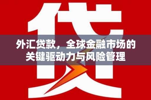 巍山外汇贷款，全球金融市场的关键驱动力与风险管理