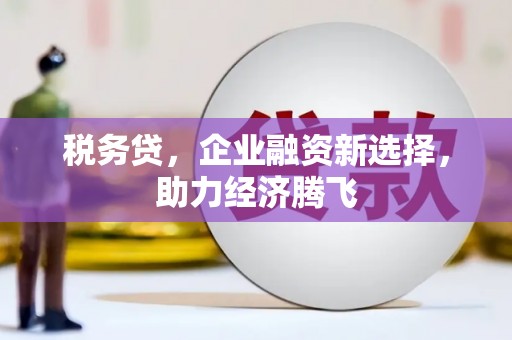 西市税务贷，企业融资新选择，助力经济腾飞