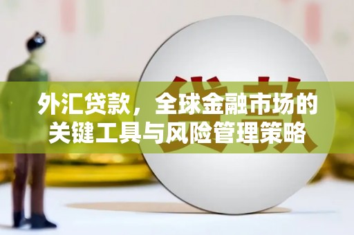 宜章外汇贷款，全球金融市场的关键工具与风险管理策略