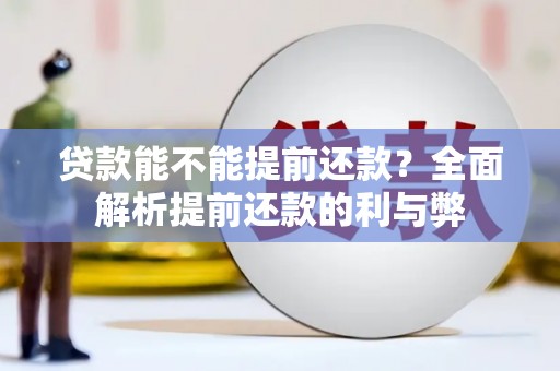 南宫贷款能不能提前还款？全面解析提前还款的利与弊