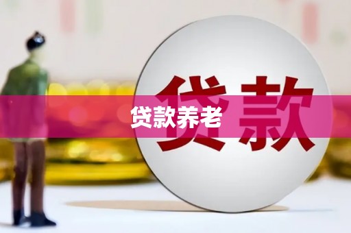 六安贷款养老
