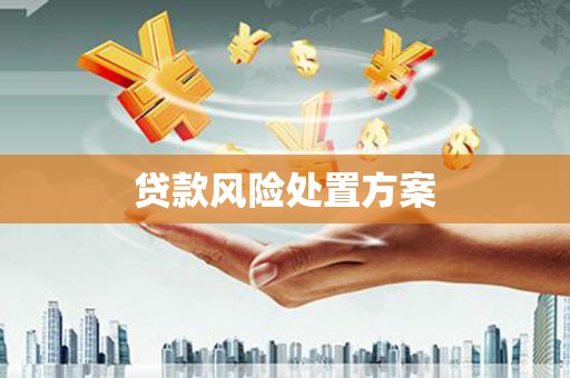 盐源贷款风险处置方案