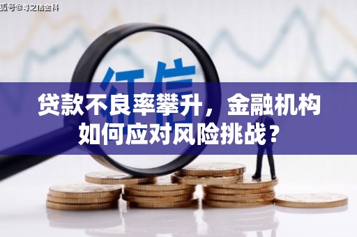 镇赉贷款不良率攀升，金融机构如何应对风险挑战？