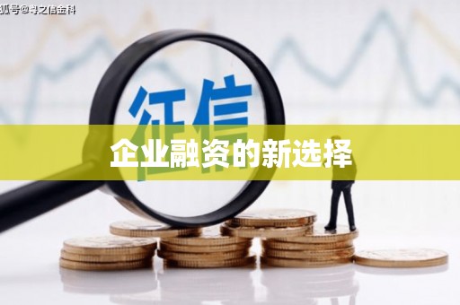 蕉城企业融资的新选择