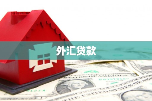 息县外汇贷款