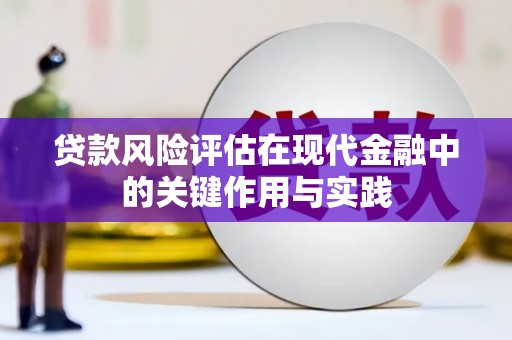 澄城贷款风险评估在现代金融中的关键作用与实践