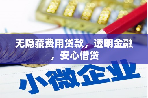 特克斯无隐藏费用贷款，透明金融，安心借贷