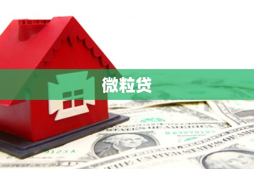 冈山微粒贷