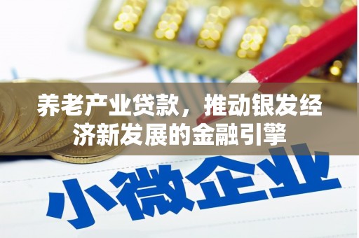 汉源养老产业贷款，推动银发经济新发展的金融引擎