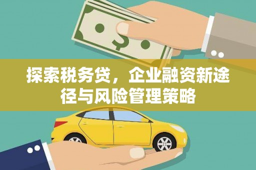 文安探索税务贷，企业融资新途径与风险管理策略