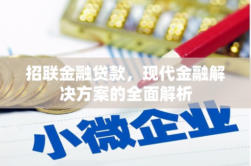 孟村招联金融贷款，现代金融解决方案的全面解析