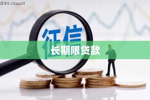 乌日长期限贷款