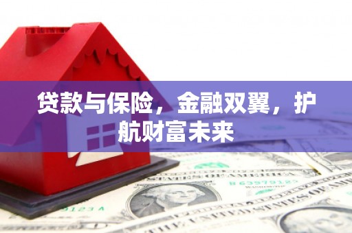 洛宁贷款与保险，金融双翼，护航财富未来