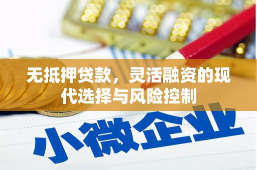 巍山无抵押贷款，灵活融资的现代选择与风险控制