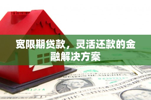 连云宽限期贷款，灵活还款的金融解决方案