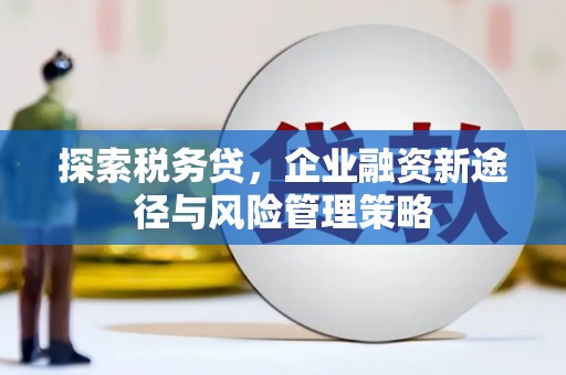谢通门探索税务贷，企业融资新途径与风险管理策略