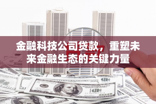 开阳金融科技公司贷款，重塑未来金融生态的关键力量
