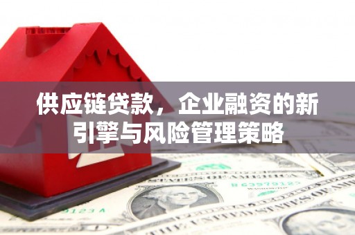 启东供应链贷款，企业融资的新引擎与风险管理策略