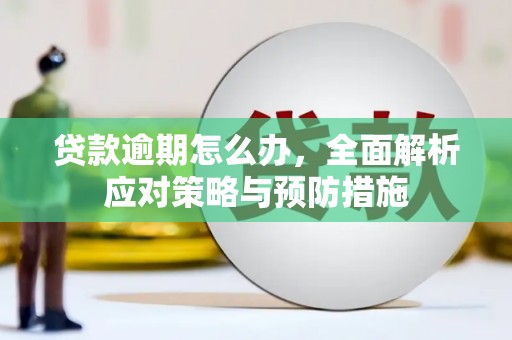 巍山贷款逾期怎么办，全面解析应对策略与预防措施