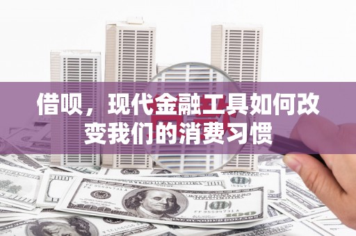 海城借呗，现代金融工具如何改变我们的消费习惯