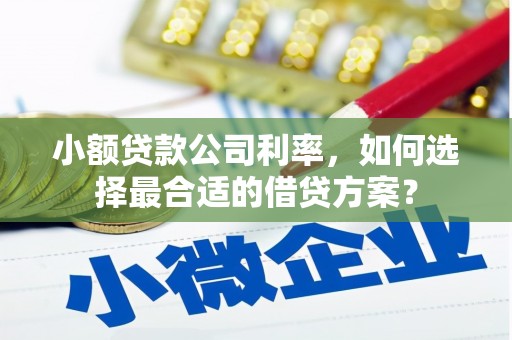 麻涌小额贷款公司利率，如何选择最合适的借贷方案？