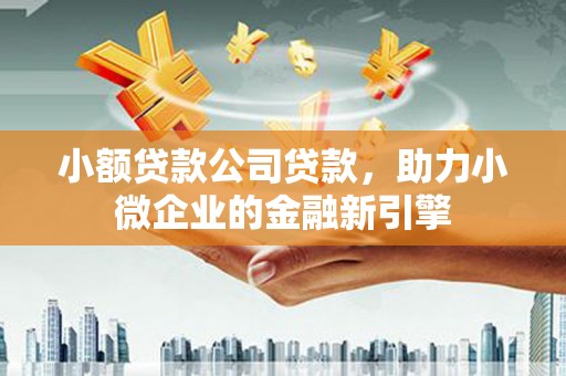 独山小额贷款公司贷款，助力小微企业的金融新引擎