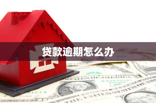 莺歌贷款逾期怎么办