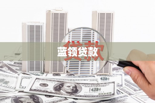 新县蓝领贷款