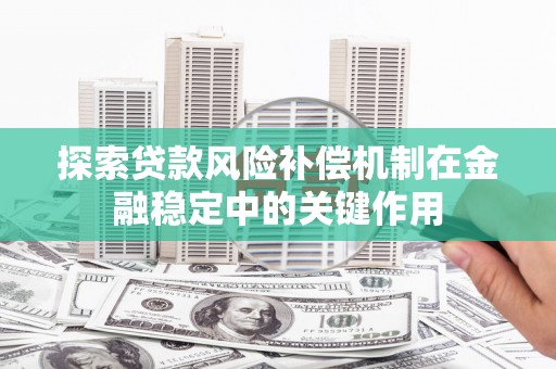 大通探索贷款风险补偿机制在金融稳定中的关键作用