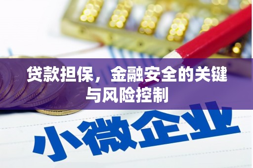 铁东贷款担保，金融安全的关键与风险控制