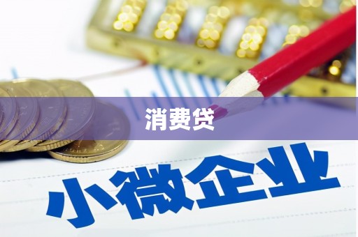 民丰消费贷