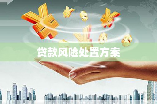 会宁贷款风险处置方案