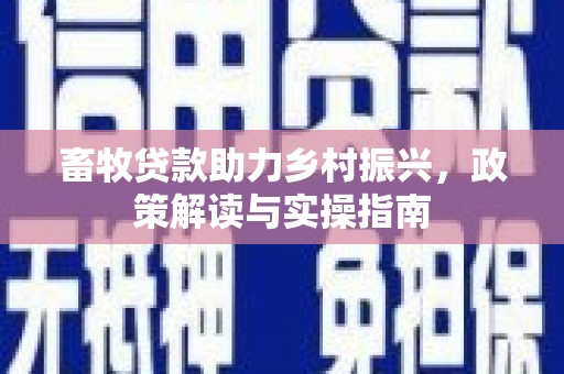 墨玉畜牧贷款助力乡村振兴，政策解读与实操指南