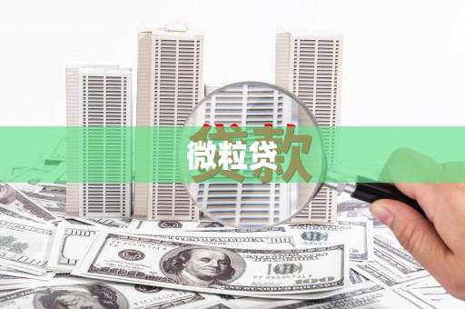 新洲微粒贷