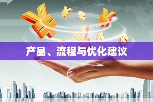 齐河产品、流程与优化建议